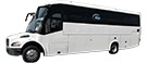 vehicle type
