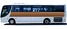 vehicle type